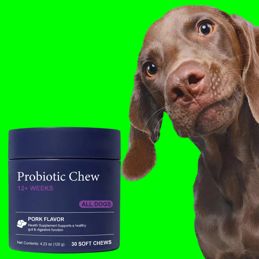22-in-1 Dog Multivitamin For Skin Joints And Overall Health