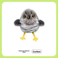 Little Fat Zhu Cat Self-Entertainment Toy